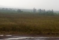 3 acres for sale in Kamonkoli municipal Budaka at 35m per acre
