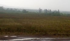 3 acres for sale in Kamonkoli municipal Budaka at 35m per acre