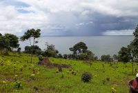 244 acres of lake shore land for sale in Nyimu Kisigula at 15m each