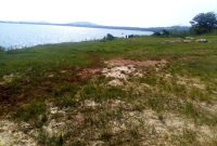 21 acres of Land on Mbeya Island for sale at 20m per acre