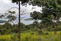 10 acres of waterfront land for sale in Buliba Buikwe at 40m each