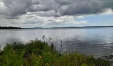20 acres for sale in Mpenja Mukono at 200m per acre