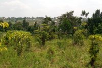 85 decimal plot for sale in Gombe Sambe at 22m off Matugga Semuto road