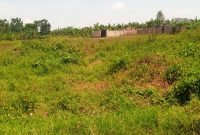 50x100ft plots for sale in Matugga Kavule at 18m each