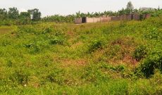 50x100ft plots for sale in Matugga Kavule at 18m each