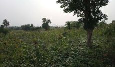 50 acres of farmland for sale in Nakaseke at 3m per acre