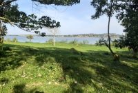2 acres touching lake Victoria for sale at 100m each