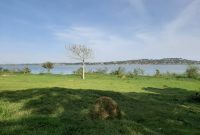 4 acres touching lake Victoria for sale in Kasanje at 180m per acre