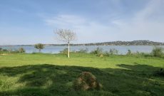 4 acres touching lake Victoria for sale in Kasanje at 180m per acre