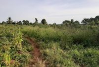 180 acres of lake view land for sale in Kasanje 280m each