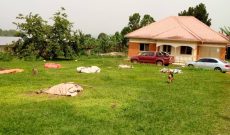 10 acre farm with farm house for sale in Bujjuko at 900m