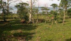 5 acre beach front land for sale in Kalangala Island at 500m