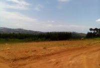 50x100ft plots for sale in Sssisa Lutaba at 35m each