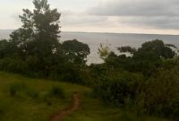 70 acres Lake view land for sale in Buikwe at 15m each