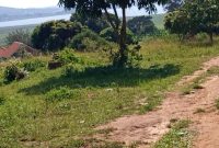 35 decimals lake view plot for sale in Bweya Kajjansi at 390m