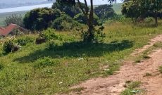 35 decimals lake view plot for sale in Bweya Kajjansi at 390m