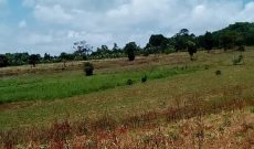 300 acres for sale in Nakawuka at 65m each