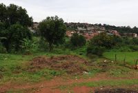 2 acres for sale in Kireka 600m each