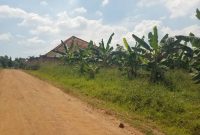 100x100ft for sale in Kira Nsasa for 135m shillings