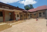 5 rentals for sale in Kanyanya 2.5m monthly at 280m