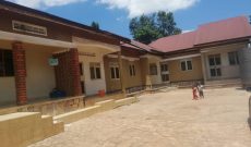 5 rentals for sale in Kanyanya 2.5m monthly at 280m