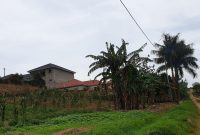 50x100ft plot of land for sale in Kira at 55m