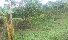 30 acres of land for sale in Luwero Kasana at 8m each