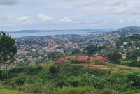 6 acres of lake view land for sale in Kitende Kitovu at 290m each