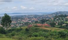 6 acres of lake view land for sale in Kitende Kitovu at 290m each