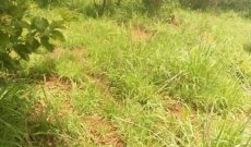 85 acres farm land for sale in Nakasongola at 2.5m per acre
