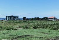 50x100ft plots of land for sale in Nkumba at 55m each