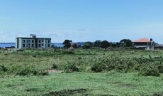 50x100ft plots of land for sale in Nkumba at 55m each