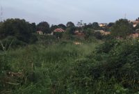 4 acres for sale in Seguku LUbowa at 800m per acre