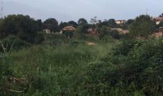 4 acres for sale in Seguku LUbowa at 800m per acre