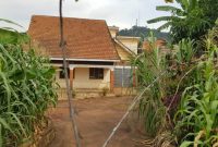 4 bedroom house for sale in Muyenga 650m