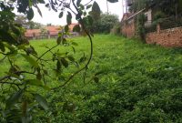 12 decimals plot of land for sale in Naguru at 1.3 billion shillings