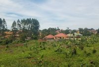 2 acres for sale in Kira Bulindo at 500m