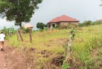 50x100ft plots for sale in Kiwenda at 12m each