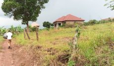 50x100ft plots for sale in Kiwenda at 12m each