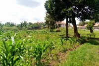 50 decimals of land for sale in kiwatule at 750m