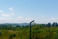 10 acres for sale in Garuga with lake view at 300m each