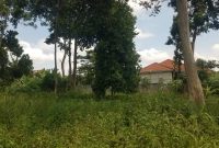 30 decimals plot for sale in Kira Nsasa at 190m