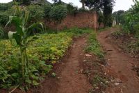 50x100ft plot of land for sale in Namugongo at 38m