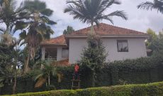 5 bedroom house for sale in Ntinda at 1.1 billion shillings