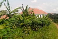 40 decimals plot for sale in Kyanja Komamboga at 450m