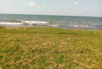 15 acres touching lake Victoria for sale in Garuga at 430m