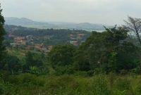 6 acres of lake view land for sale in Bwebajja at 320m
