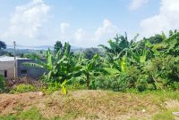 17 acres of land for sale in Nakifuma 13m each