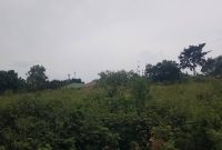 14 acres for sale in Mukono Mpoma at 100m per acre