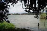 80 acres for sale in Bwerenga on Lake shore at 250m each